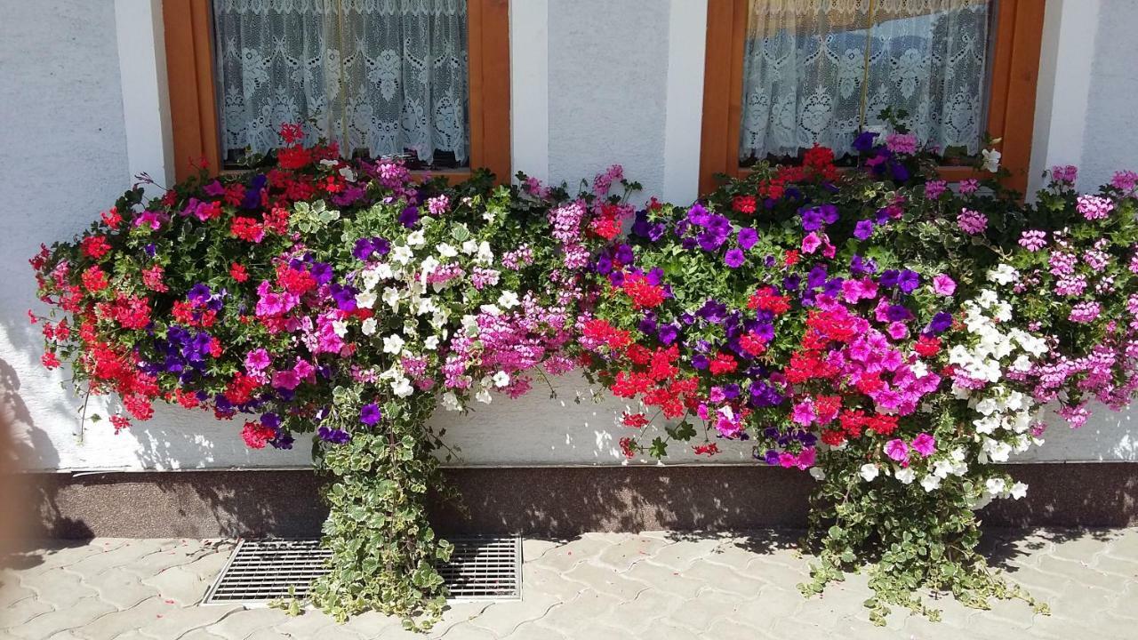 Haus Edlinger Inclusive Murau Sommer Gaeste Card Sankt Georgen ob Murau Eksteriør bilde